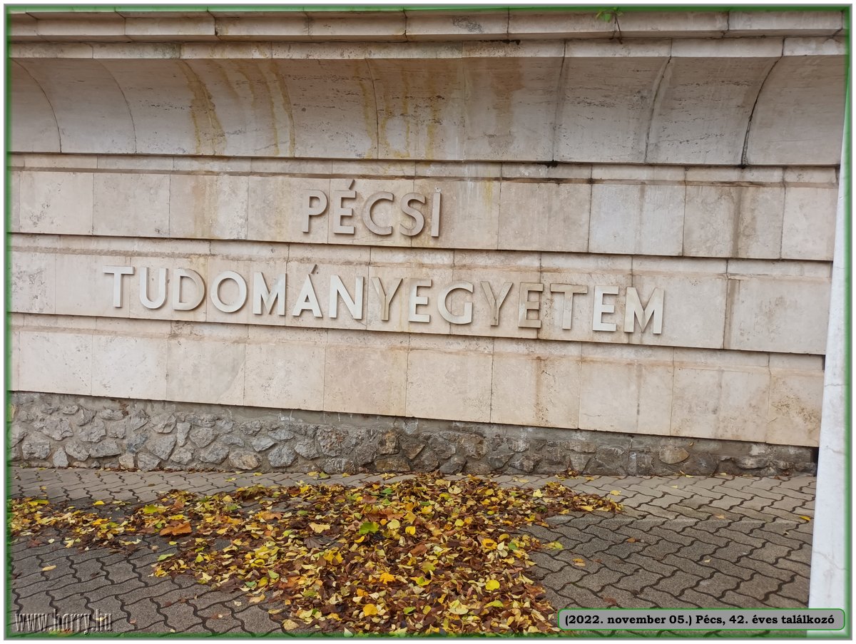 2022.11.05.-Pecs_42_eves_talalkozo-09.jpg