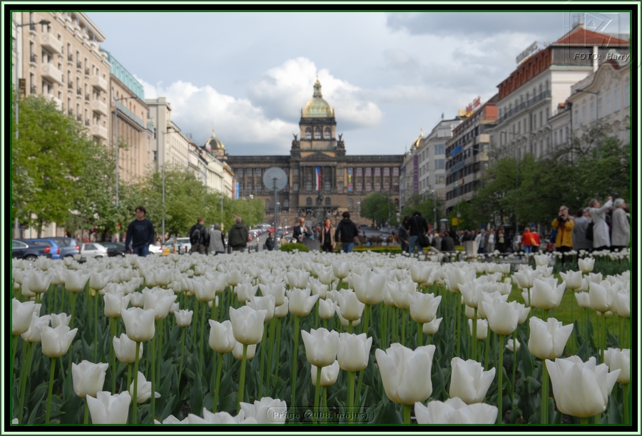 (2008.04.30-05.03.)Praha-118.jpg