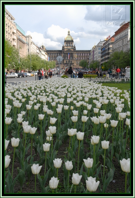 (2008.04.30-05.03.)Praha-120.jpg
