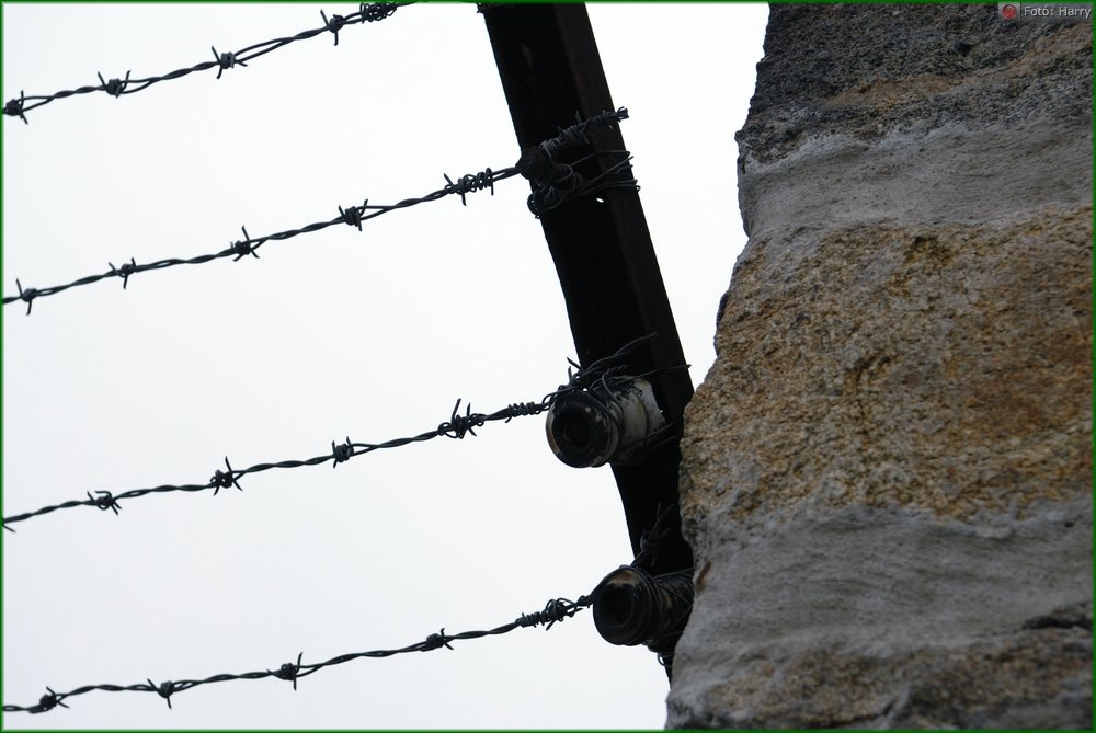 014-(2010.01.21-01.24.)Mauthausen.jpg