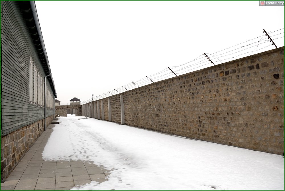 016-(2010.01.21-01.24.)Mauthausen.jpg