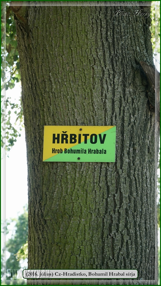 (2016.julius)Hradistko-42.jpg