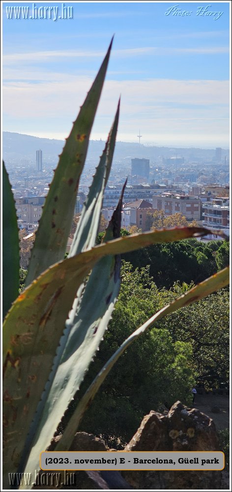 2023.11-E-07-Barcelona-Guell_park-09.jpg