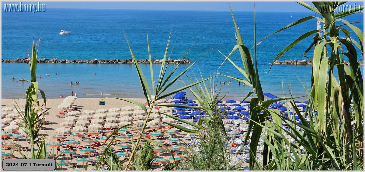 2024.07-I-Termoli-06.jpg
