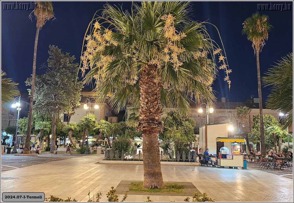 2024.07-I-Termoli-59.jpg