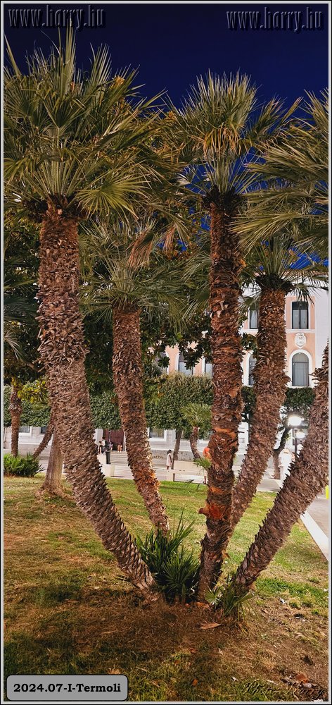 2024.07-I-Termoli-60.jpg