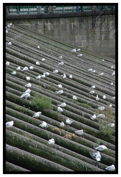 Praga-2005  - 070.jpg