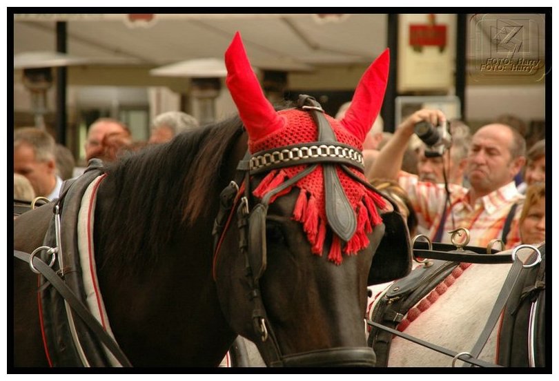 Praga-2005  - 439.jpg