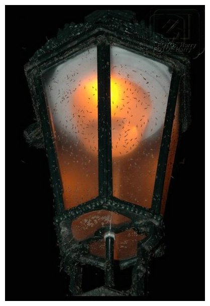 Praga-2005  - 497.jpg