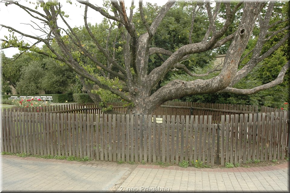 2. nap Pragaban - 050.jpg