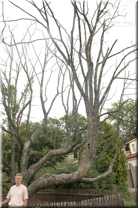 2. nap Pragaban - 051.jpg