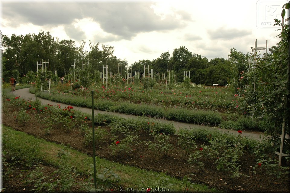 2. nap Pragaban - 056.jpg