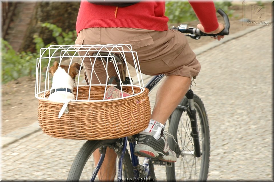 6. nap Pragaban - 014.jpg