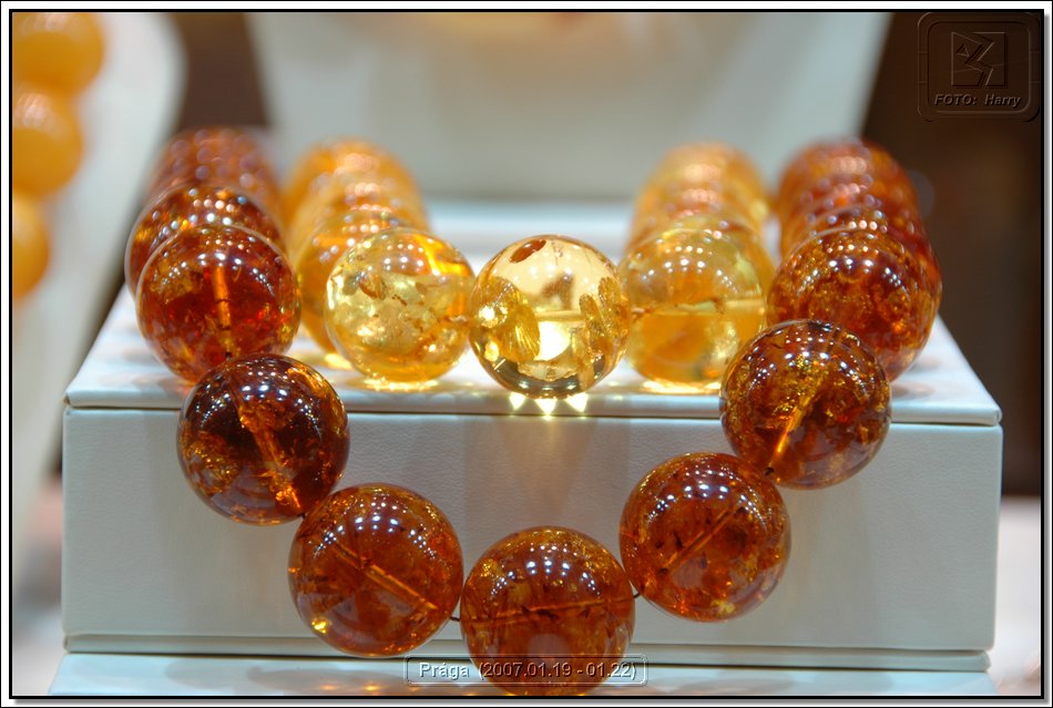 Praga (2007.01.19-01.22.) - 053.jpg