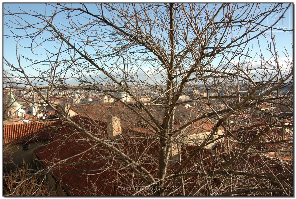 Praga (2007.01.19-01.22.) - 198.jpg