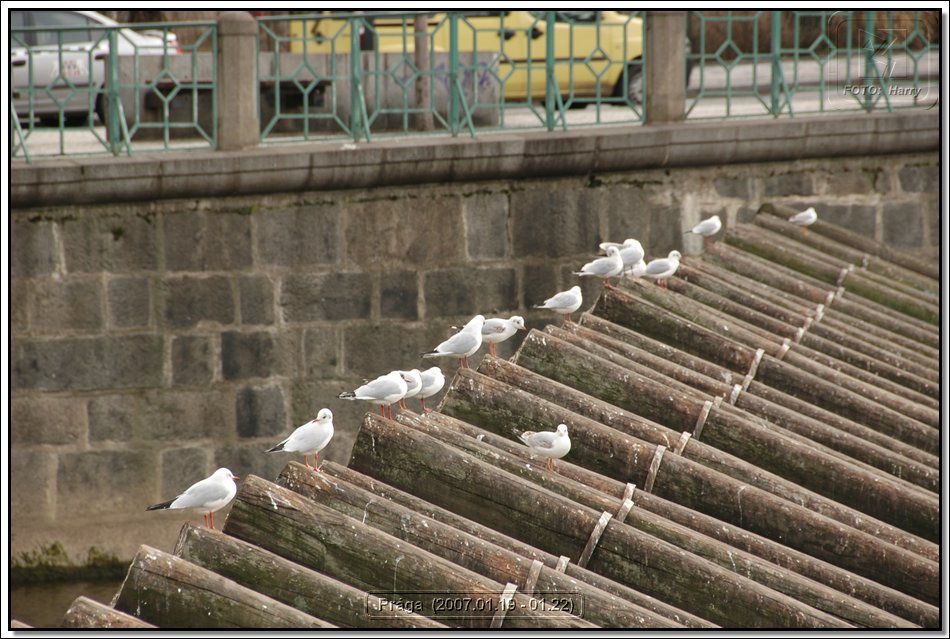 Praga (2007.01.19-01.22.) - 243.jpg