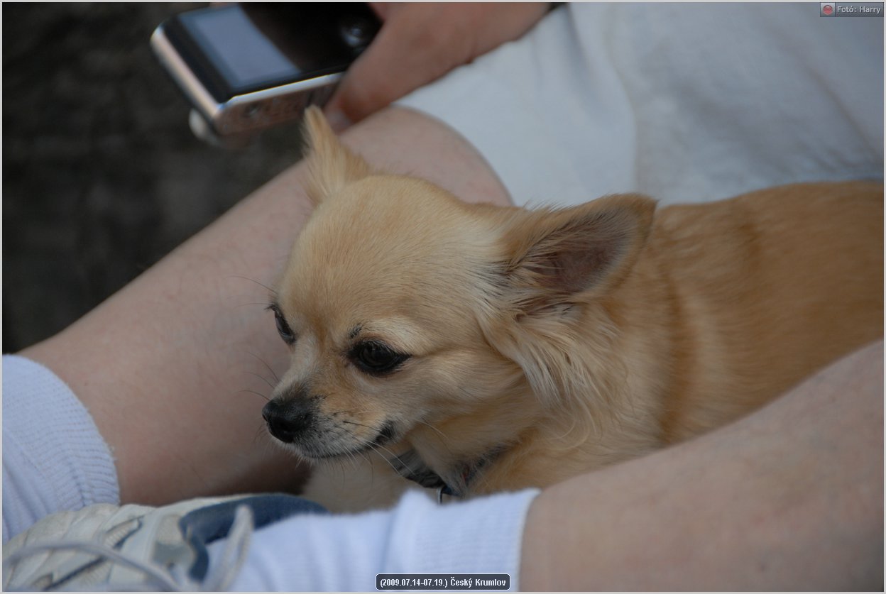 (2009.07.14-07.19.)Cesky_Krumlov-101.jpg