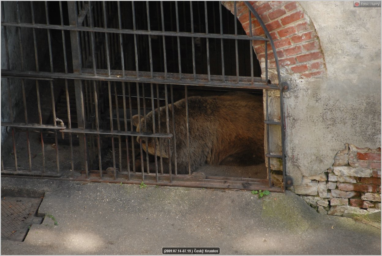(2009.07.14-07.19.)Cesky_Krumlov-242.jpg