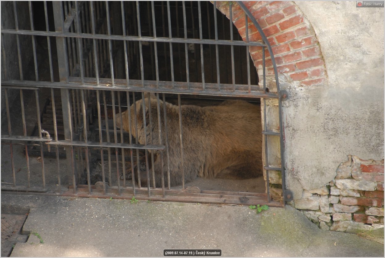 (2009.07.14-07.19.)Cesky_Krumlov-244.jpg