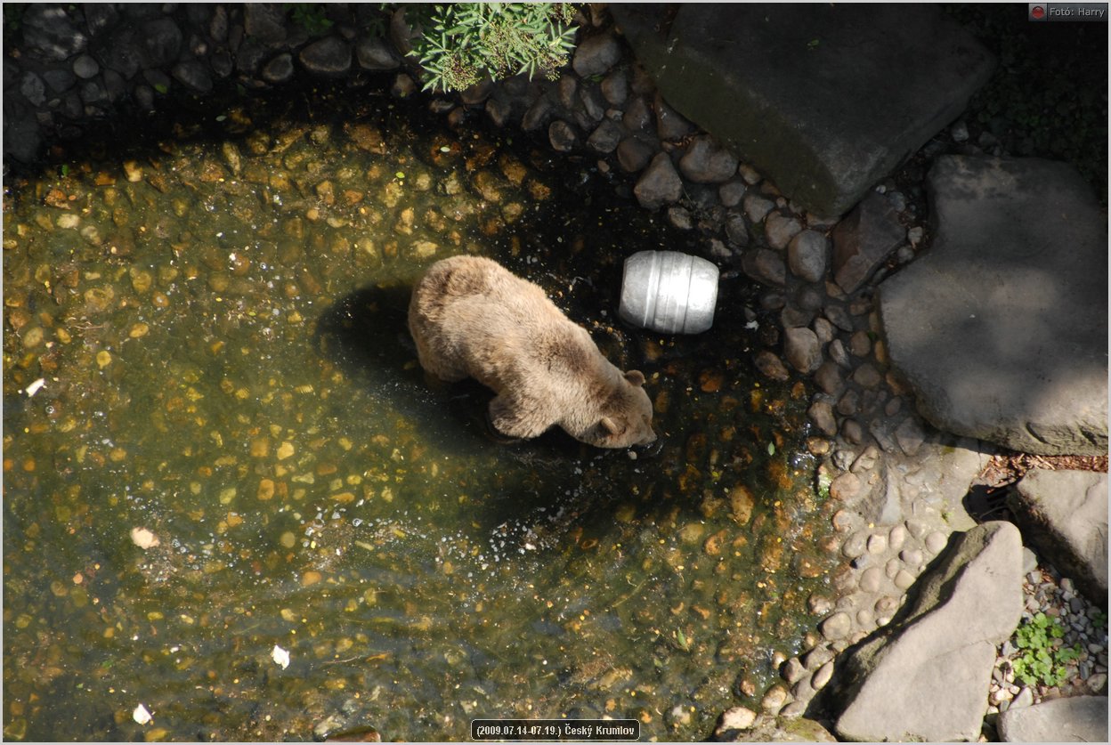 (2009.07.14-07.19.)Cesky_Krumlov-248.jpg