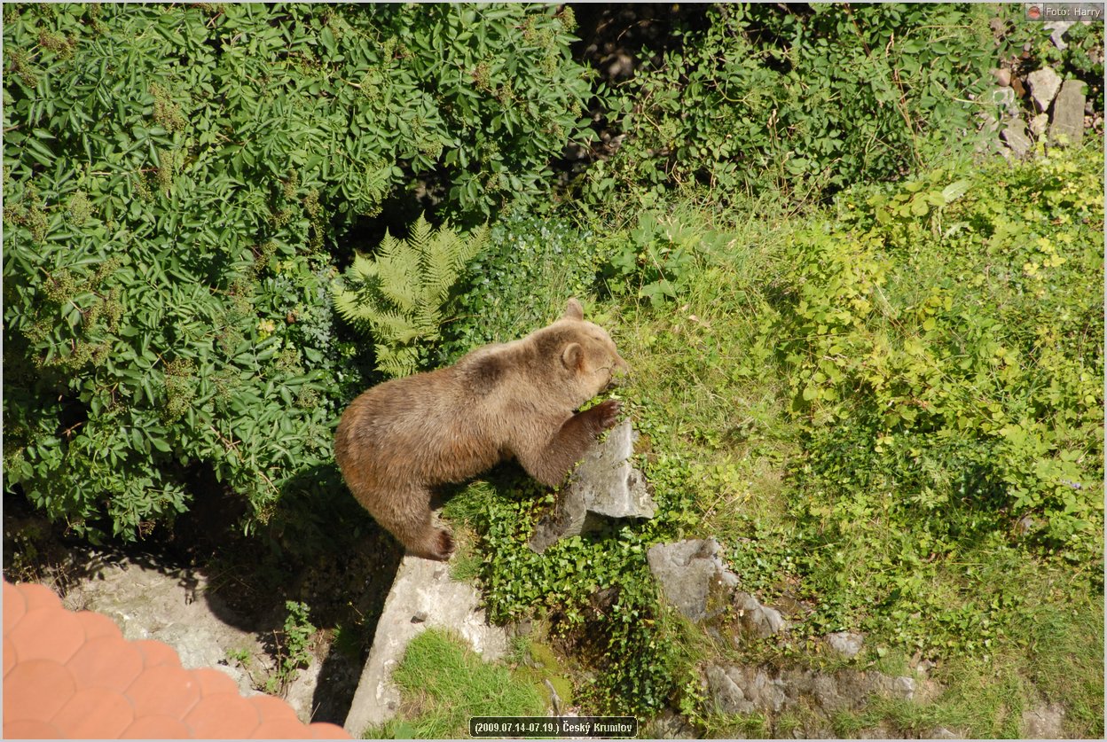 (2009.07.14-07.19.)Cesky_Krumlov-253.jpg