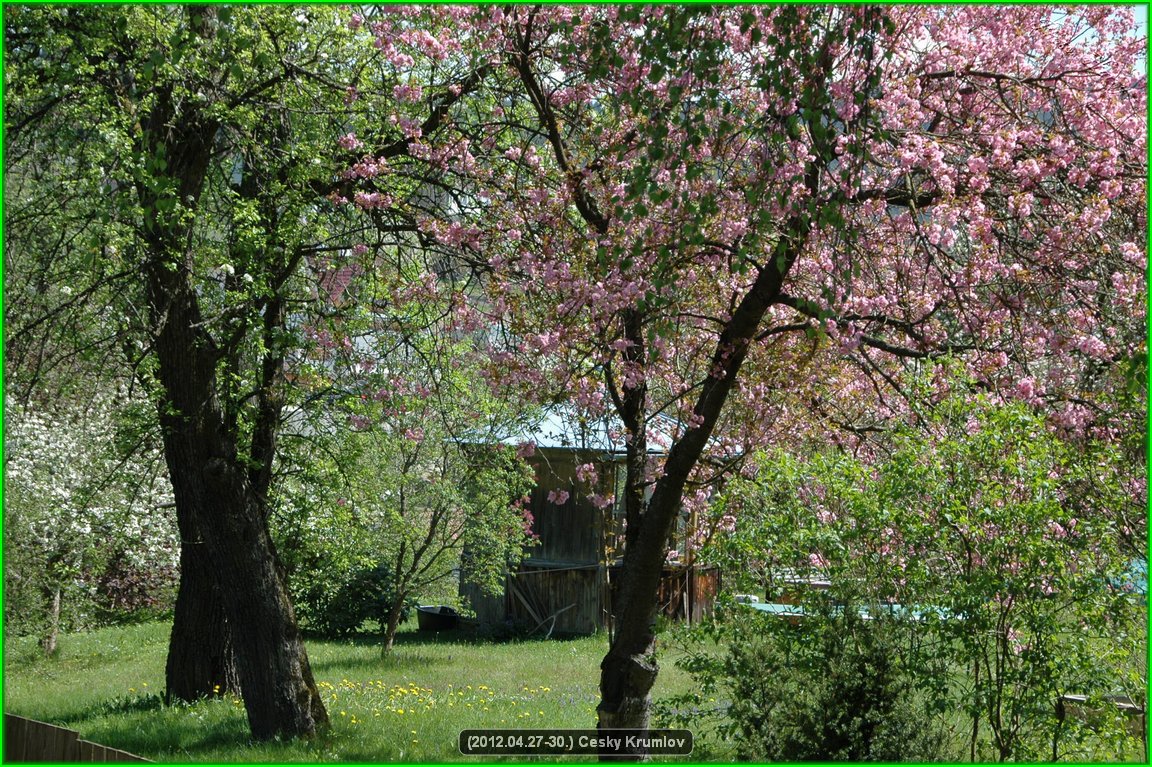 (2012.04.27-30.)Cesky_Krumlov-233.jpg