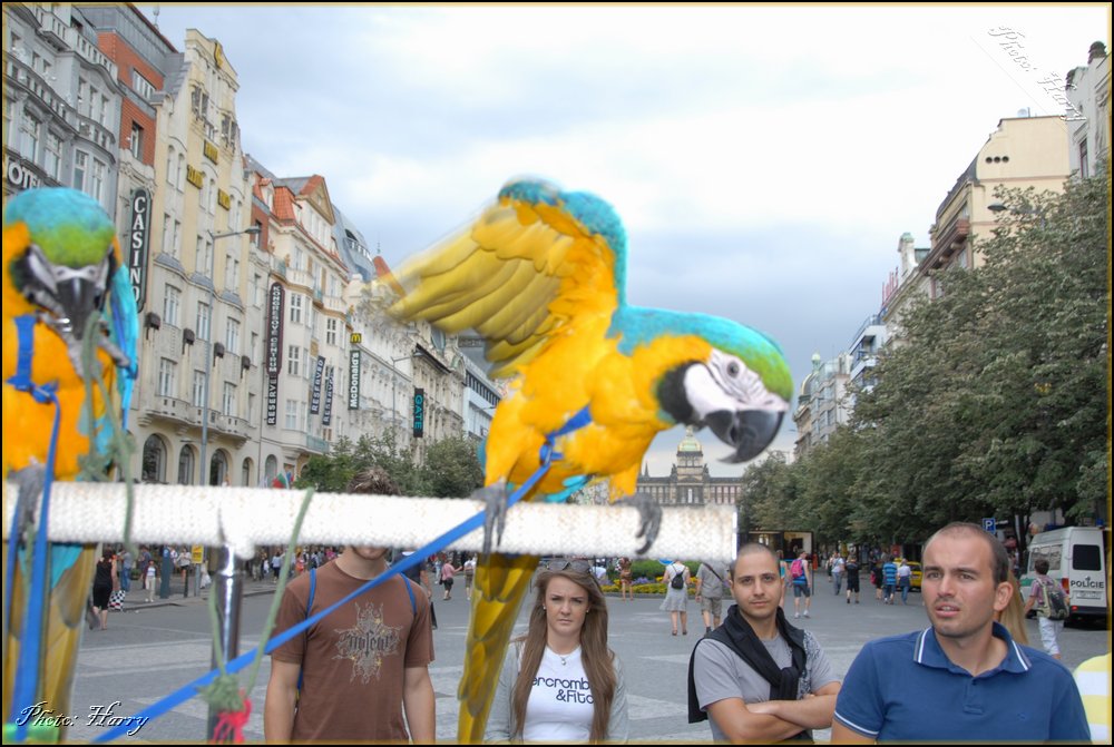 (2012.08.09.)Praga-030.jpg