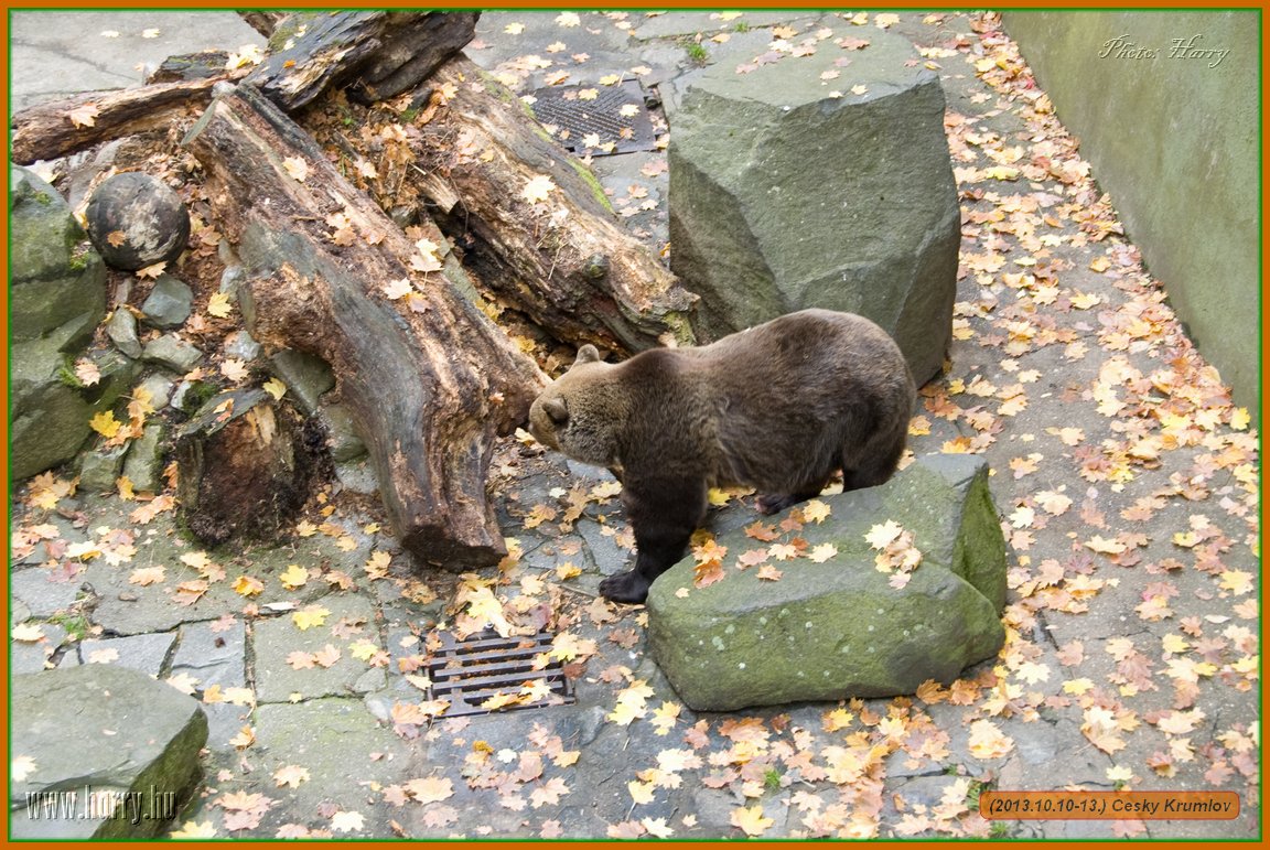 (2013.10.10-13.)Cesky_Krumlov-0250.jpg