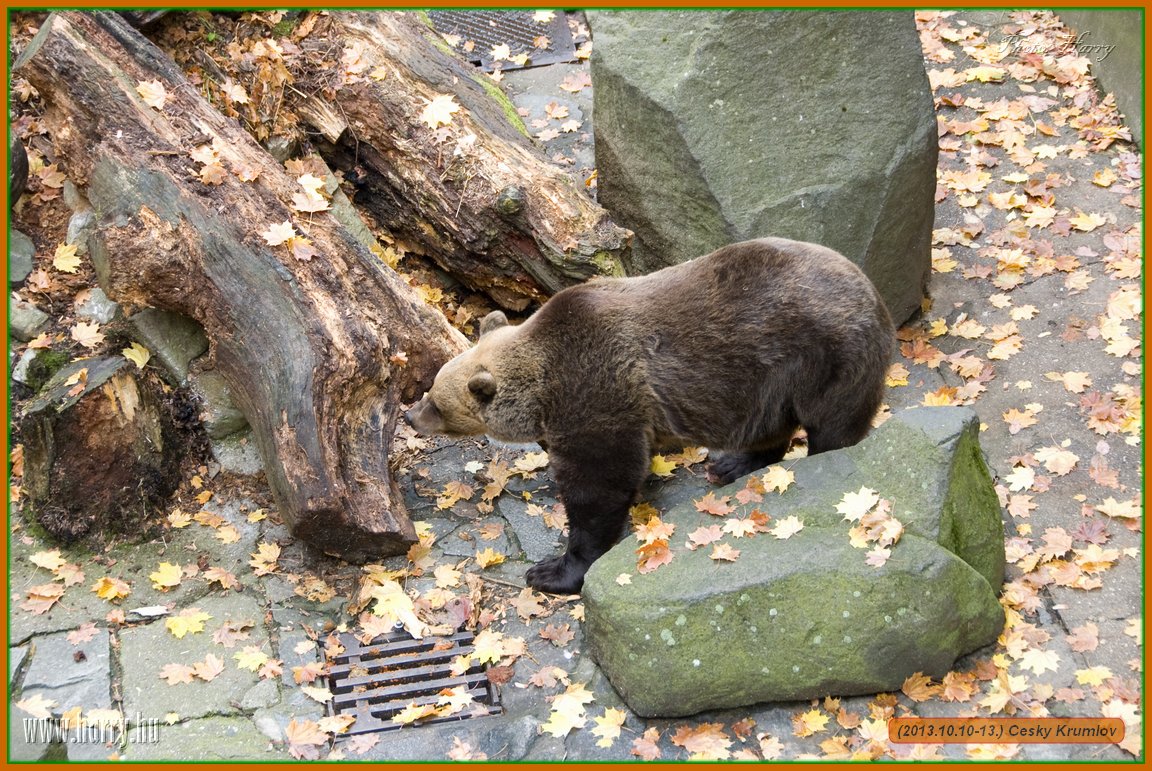 (2013.10.10-13.)Cesky_Krumlov-0251.jpg