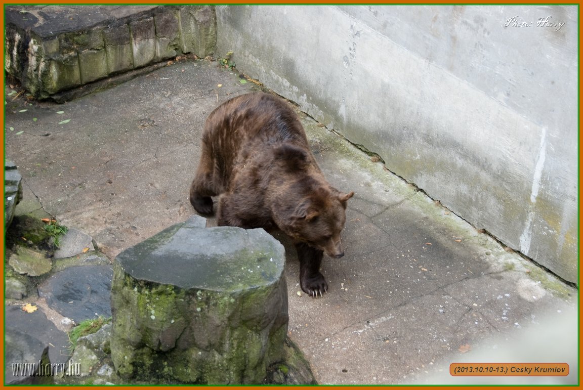 (2013.10.10-13.)Cesky_Krumlov-0252.jpg