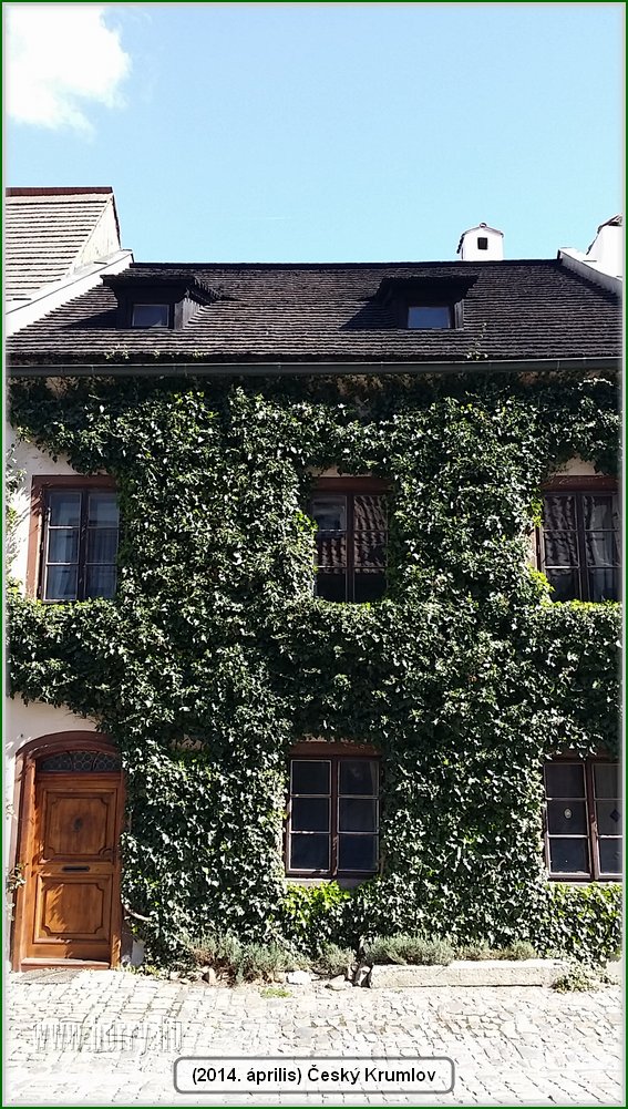 (2014.04.17-19.)Cesky_Krumlov-089.jpg