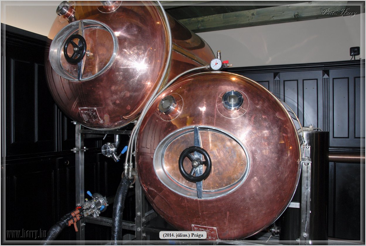 (2014.07.09.)Praga-0012.jpg