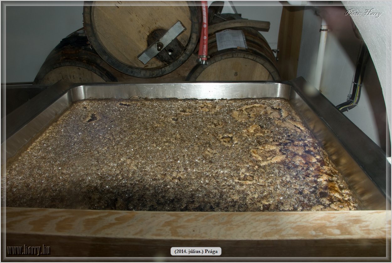 (2014.07.09.)Praga-0089.jpg