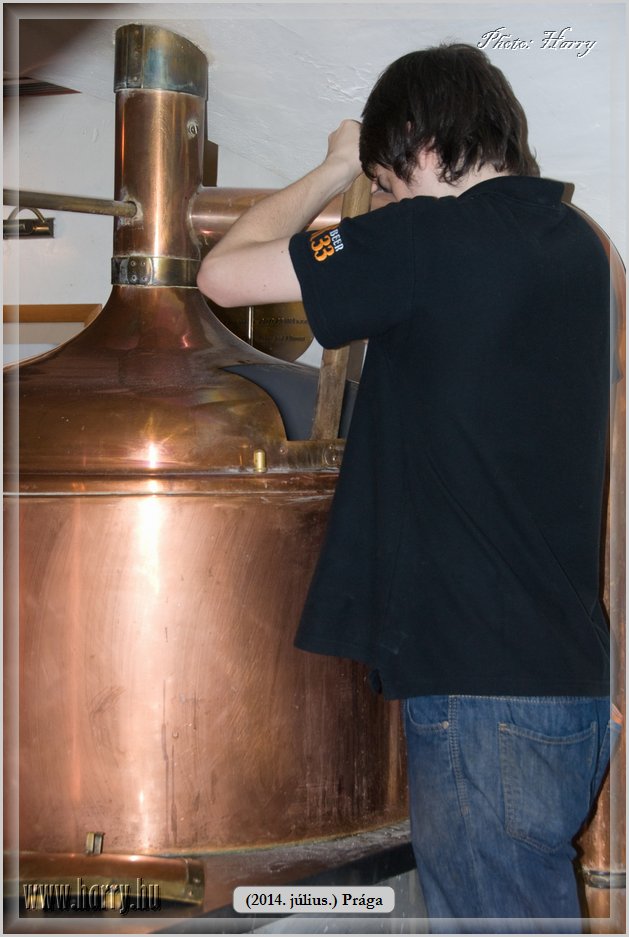 (2014.07.09.)Praga-0091.jpg