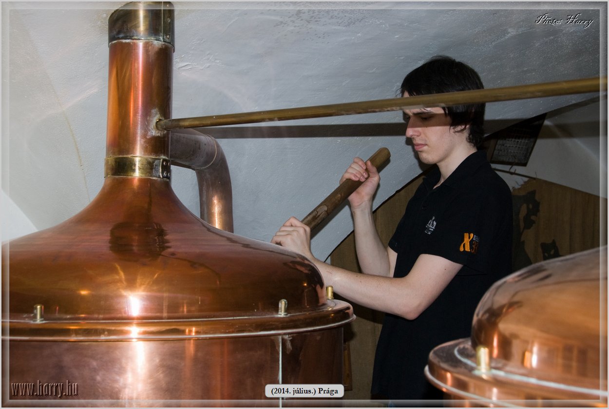(2014.07.09.)Praga-0092.jpg