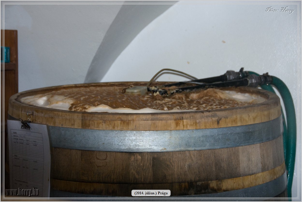 (2014.07.09.)Praga-0094.jpg