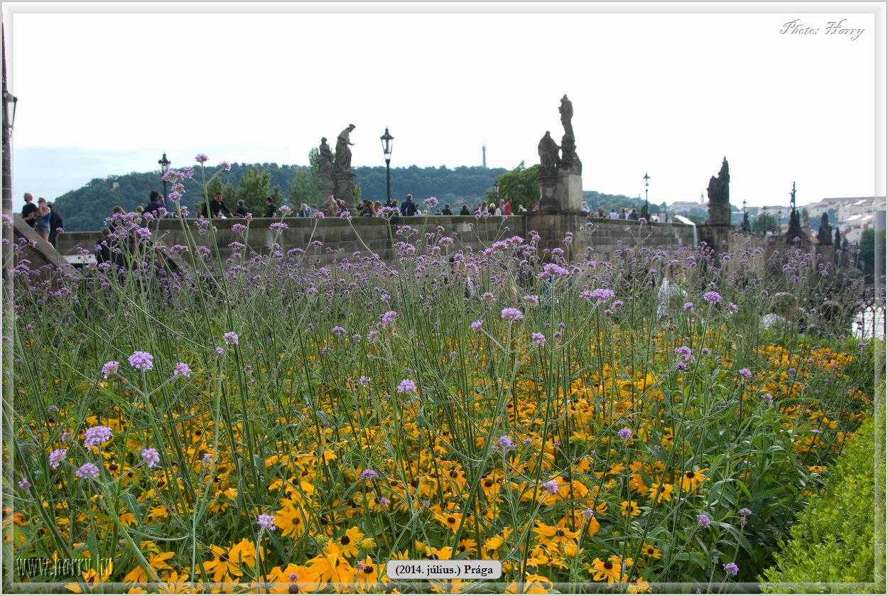 (2014.07.09.)Praga-0135.jpg