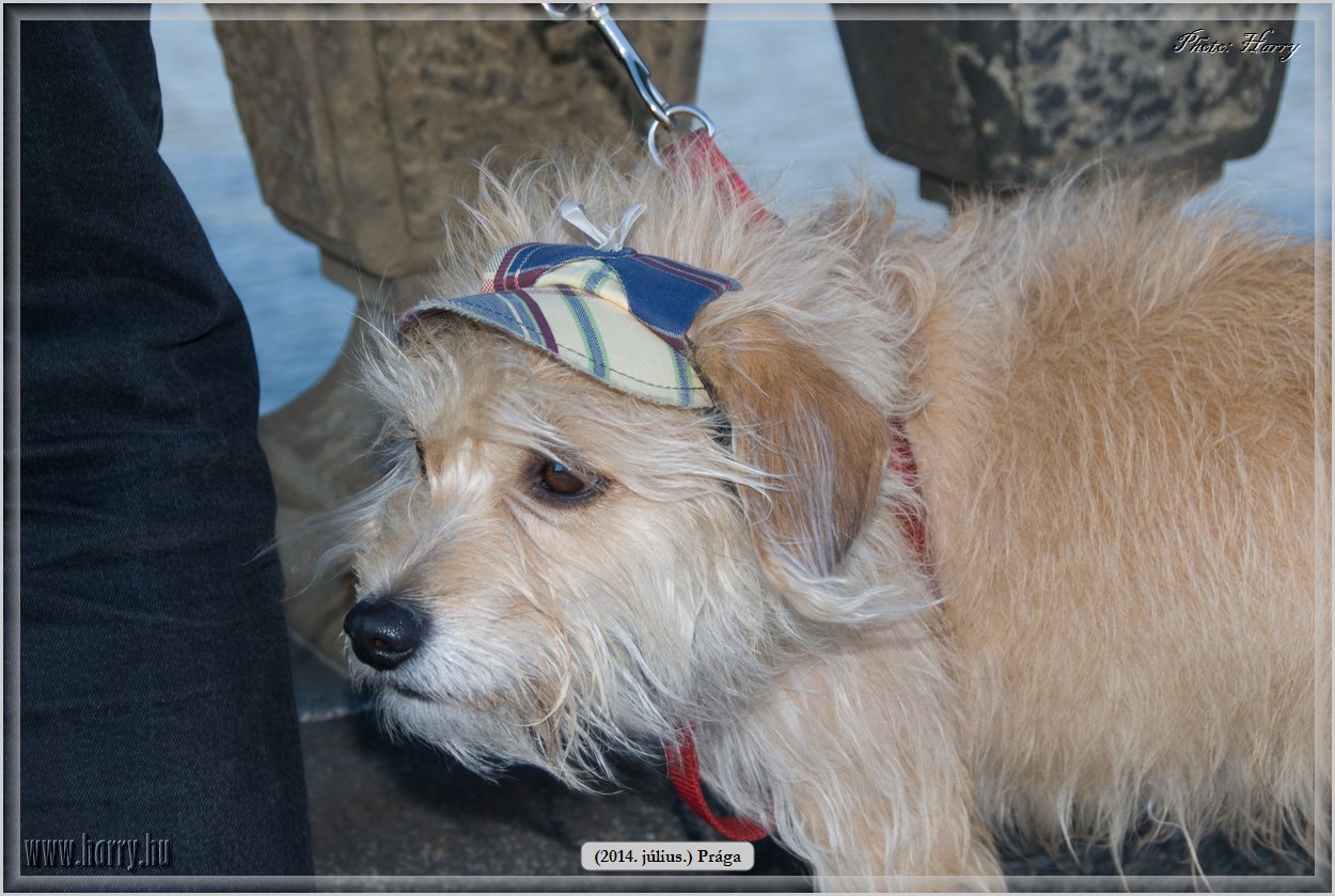 (2014.07.09.)Praga-0213.jpg