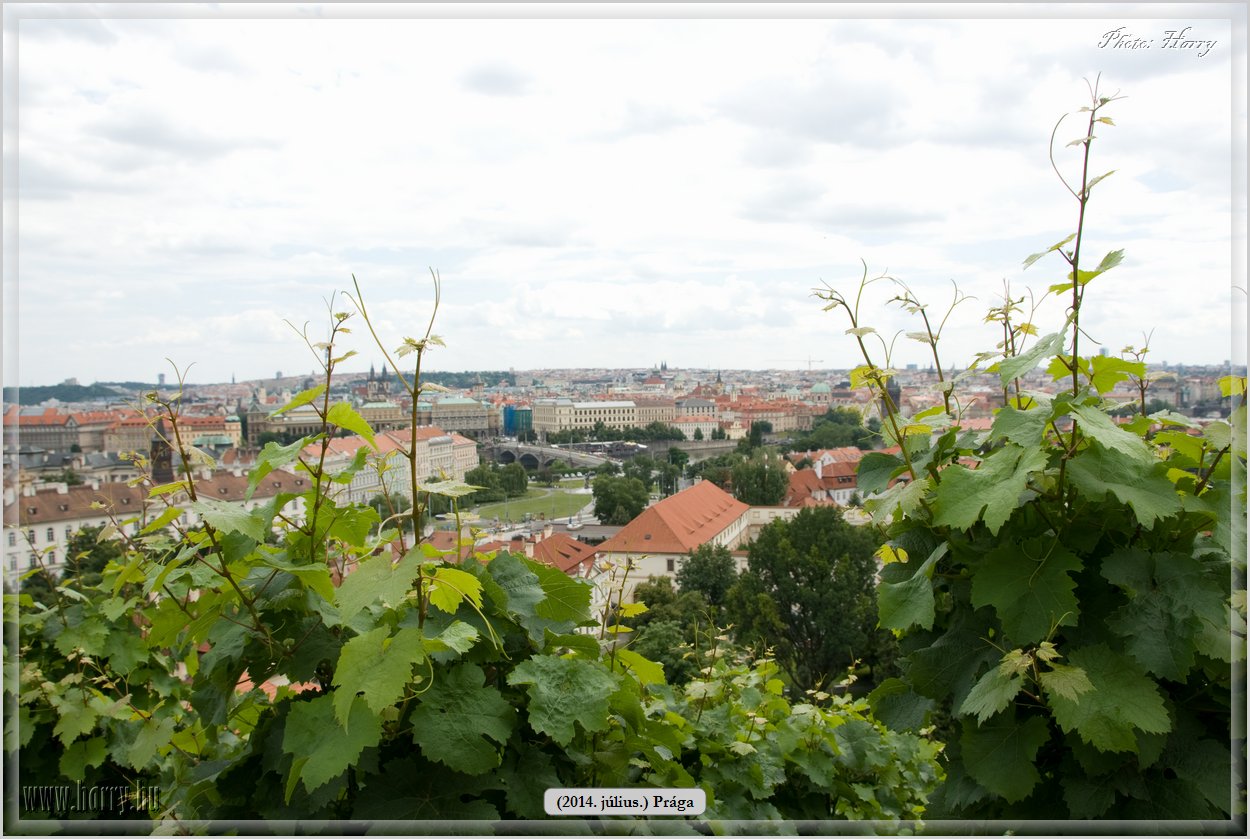 (2014.07.09.)Praga-0280.jpg