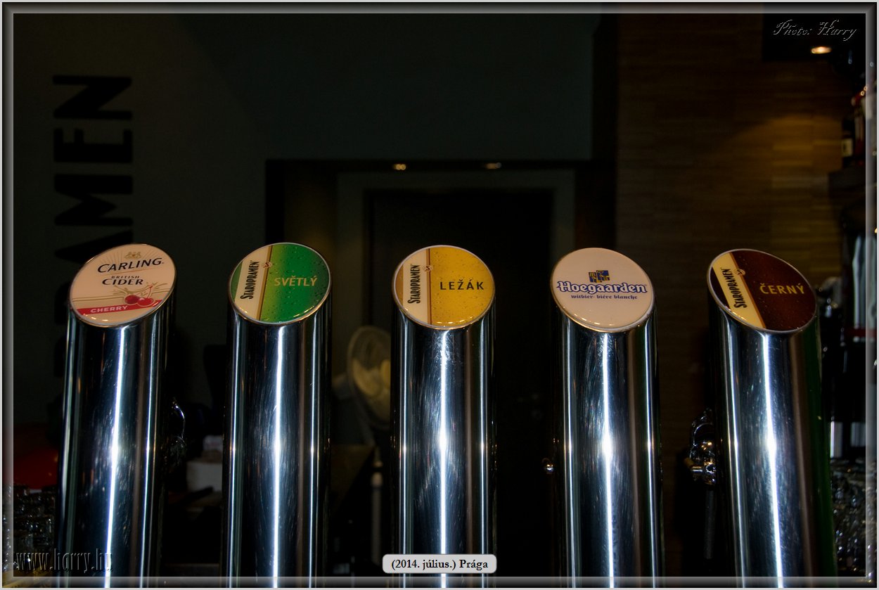 (2014.07.09.)Praga-0290.jpg