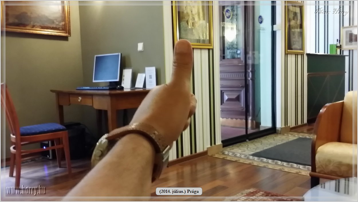 Mobilfoto_(2014.07.09.)Praga-0527.jpg