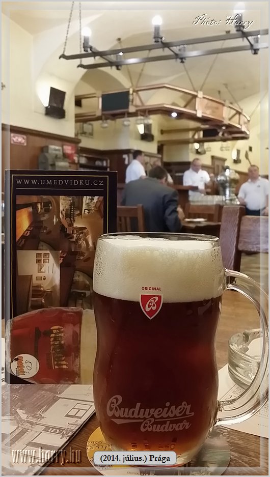 Mobilfoto_(2014.07.09.)Praga-0534.jpg