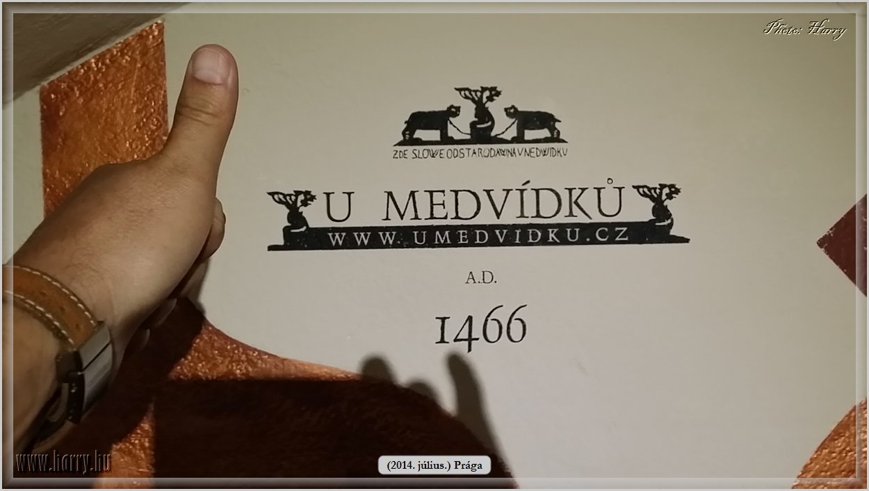 Mobilfoto_(2014.07.09.)Praga-0536.jpg