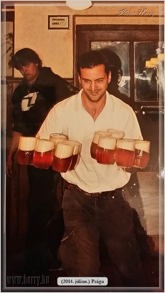 Mobilfoto_(2014.07.09.)Praga-0539.jpg