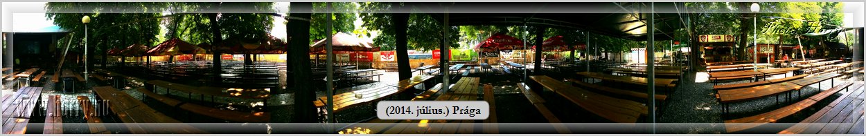 Mobilfoto_(2014.07.09.)Praga-0566.jpg