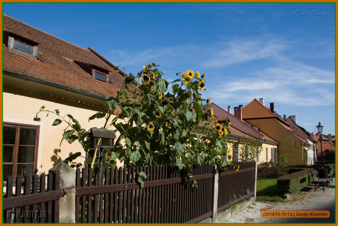 (2014.10.10-12.)Cesky_Krumlov-062.jpg