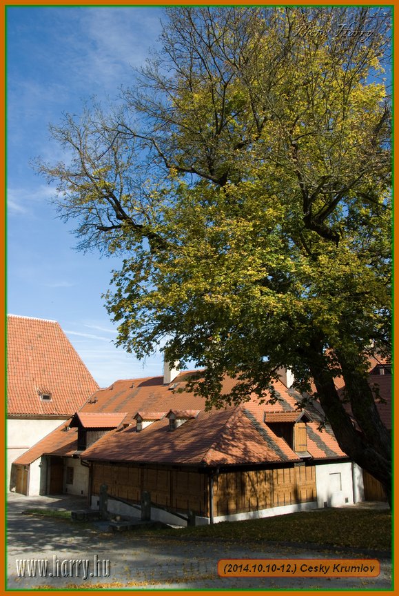 (2014.10.10-12.)Cesky_Krumlov-065.jpg