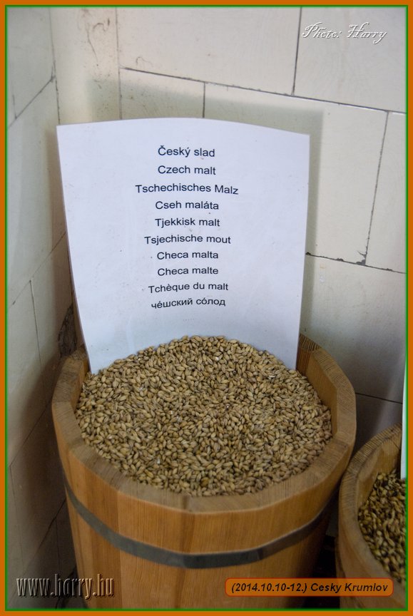 (2014.10.10-12.)Cesky_Krumlov-123.jpg