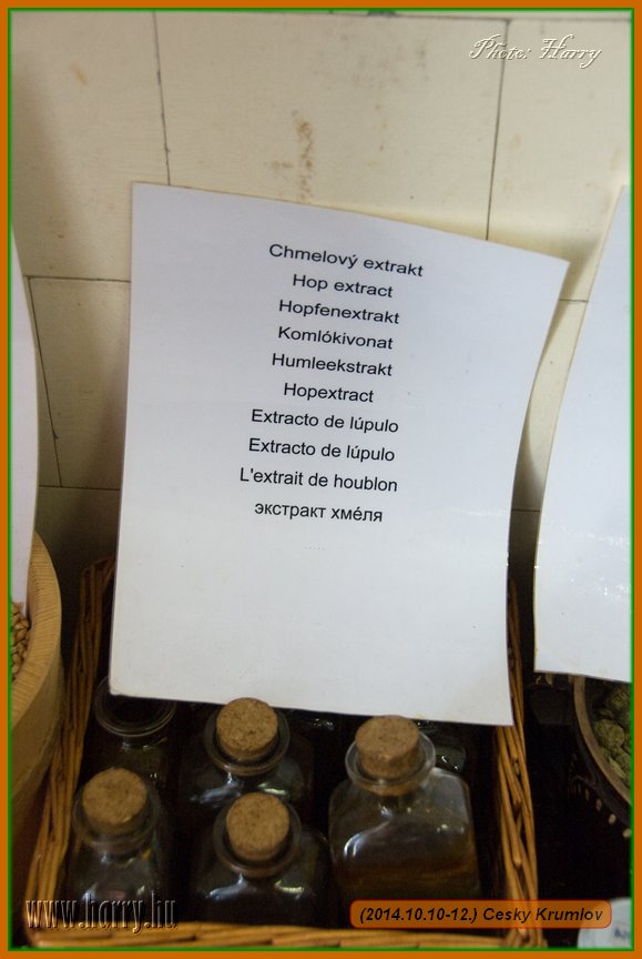 (2014.10.10-12.)Cesky_Krumlov-128.jpg