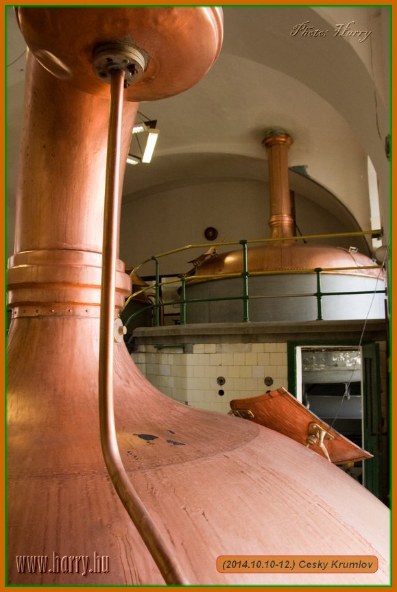 (2014.10.10-12.)Cesky_Krumlov-133.jpg
